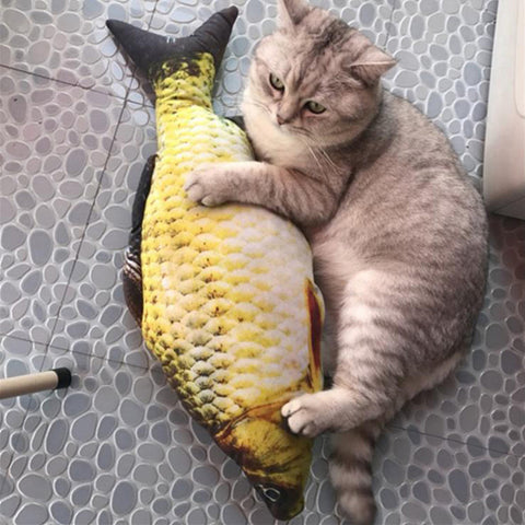 Cat Favor Fish