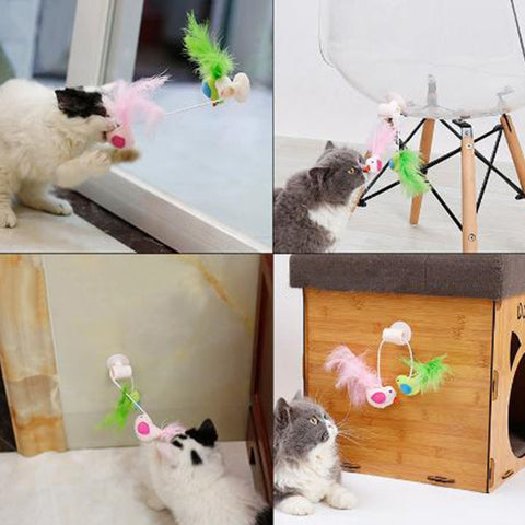Catnip Cat Toys