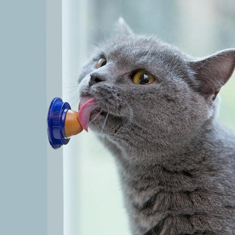 Healthy Cat Catnip Sugar